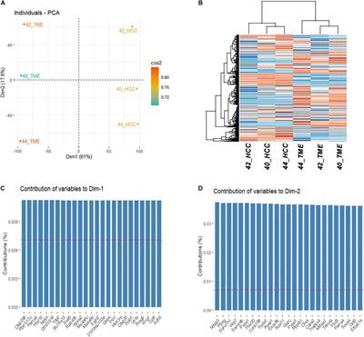 Transcriptional Profiling of Porcine HCC Xenografts Provides Insights Into Tumor Cell Microenvironment Signaling